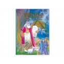 BIBLIA PARA LOS MAS JOVENES CARTONE TAPA ACOLCHADA ESTAMPACION ORO VOL. 9