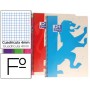 BLOC ESPIRAL OXFORD TAPA PLASTICO POWERFUL OPTIK PAPER FOLIO 80 HOJAS 90 GR CUADRO 4 MM COLORES SURT