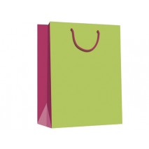 BOLSA REGALO MEDIANA ARGUVAL PISTACHO