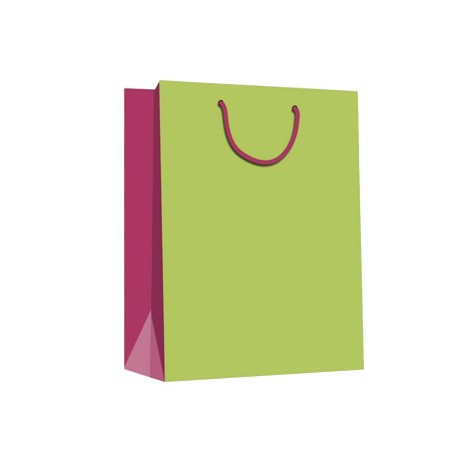 BOLSA REGALO MEDIANA ARGUVAL PISTACHO