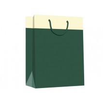 BOLSA REGALO MEDIANA ARGUVAL VERDE