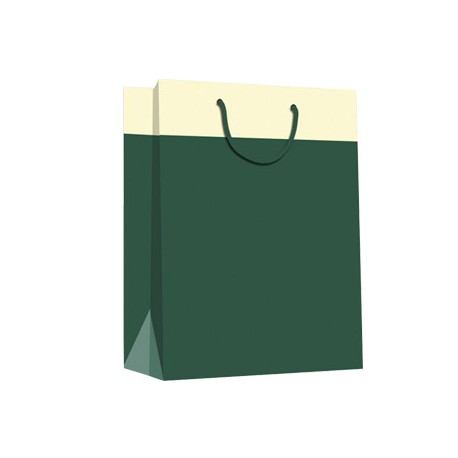 BOLSA REGALO MEDIANA ARGUVAL VERDE