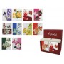 TARJETA POSTAL ARGUVAL NATURA SERIE AW MODELOS SURTIDOS