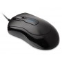 RATON KENSINGTON OPTICO 800 DPI RECEPTOR USB NEGRO