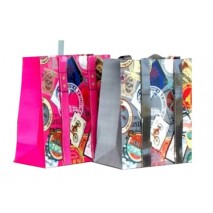 BOLSA PARA REGALO ARGUVAL PEQUE¾A CIUDADES