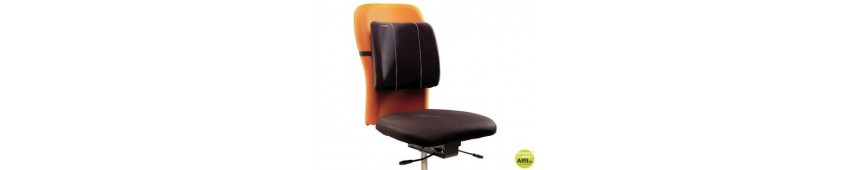Ergonomia